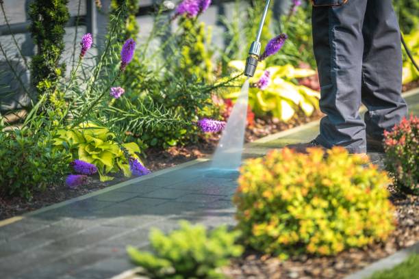 Best Sidewalk and Walkway Cleaning  in Eastland, TX